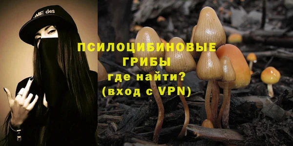 2c-b Богданович